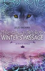 Winter's Passage (The Iron Fey #0)